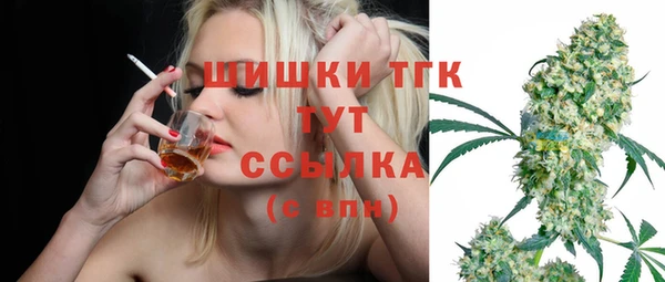 apvp Аркадак