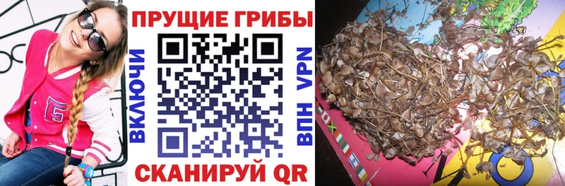 Галлюциногенные грибы ЛСД  Лысково 